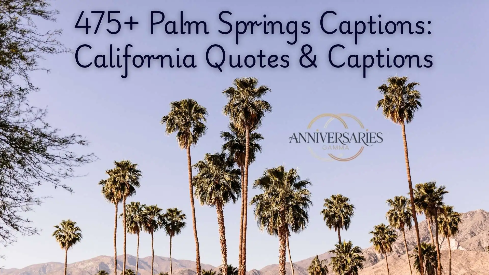 470+ Palm Springs Instagram Captions (Best Ideas for Every Mood & Moment)