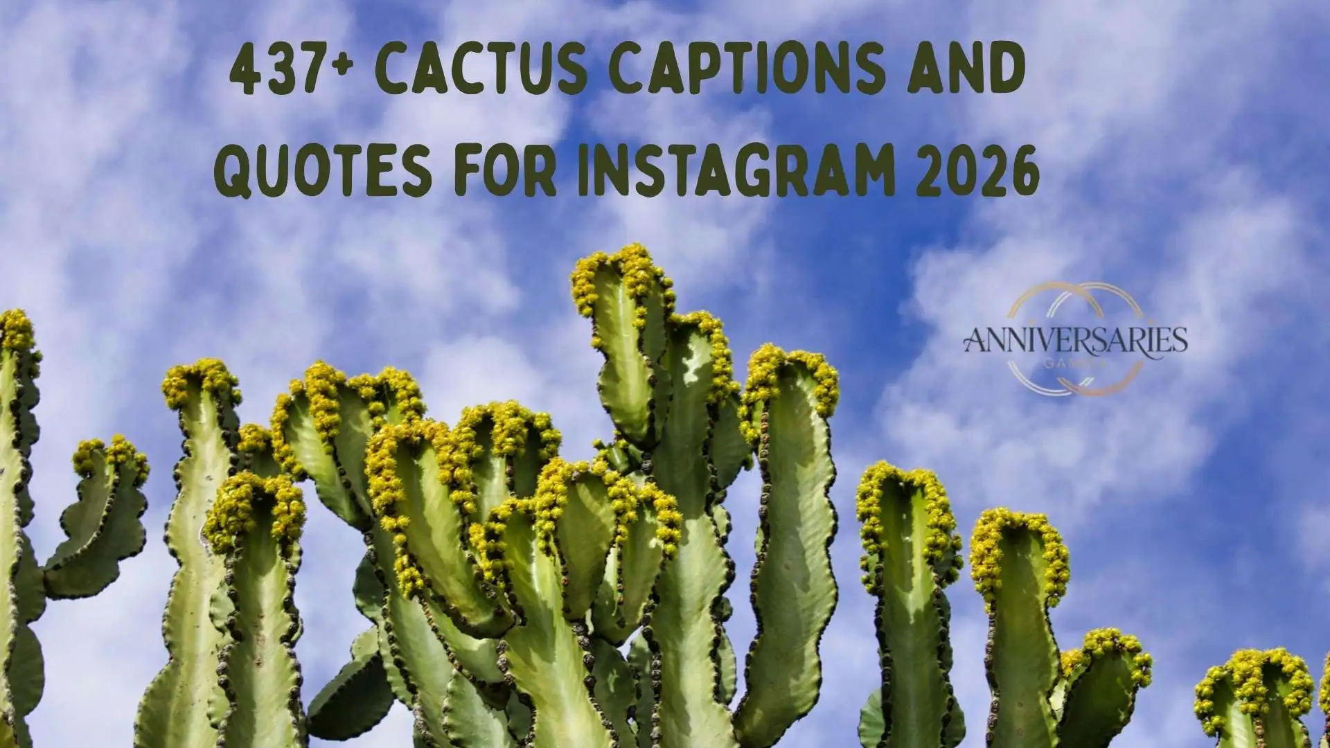 530+ Best Cactus Captions and Quotes for Instagram to Stay Sharp in 2026