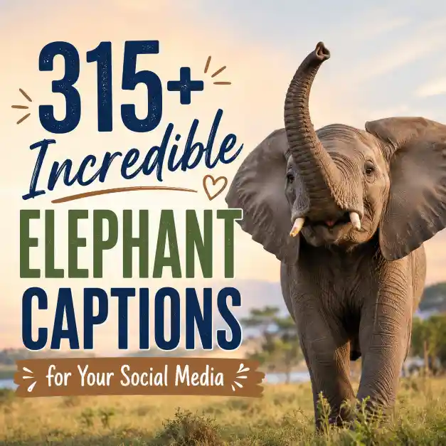 Incredible Elephant Captions
